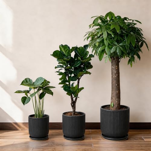 Deep Dream 8 Inch Ceramic Pots for Plants, Heavy Plant Pot for Indoor Outdoor Plants, Large Plant Pot with Drainage Hole and Saucer, Modern Tall Flower Pot, Gifts for Plant Lovers, Black - Image 7