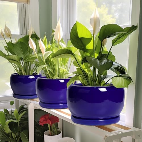 SQOWL Ceramic Plant Pot - 10 Inch Ceramic Planter for Indoor Outdoor, Round Flower Pot with Drainage Hole and Saucer, Modern Decorative Large Planter, Garden Decor, Plant Lover Gifts, Blue - Image 6
