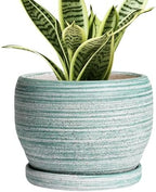 SQOWL Ceramic Plant Pots - 6 Inch Planter with Drainage Hole and Tray, Round Flower Pot for Indoor Plants, Decorative Succulent Planter Outdoor, Home House Decor, Gifts for Women Men, Green by SQOWL