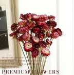 MIHUAGE Dried Flower 40PCS Daisy Bouquet 100% Natural Chrysanthemum Dry Flower with Stem for Vase Home décor Party DIY Arrangement Wheat Straw Bulk (Burgundy) - Image 7
