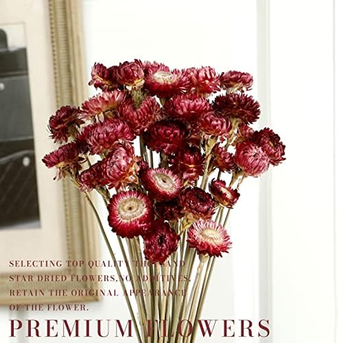 MIHUAGE Dried Flower 40PCS Daisy Bouquet 100% Natural Chrysanthemum Dry Flower with Stem for Vase Home décor Party DIY Arrangement Wheat Straw Bulk (Burgundy) - Image 7