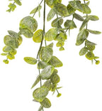 Vickerman 36" Artificial Green Spiral Eucalyptus Vine - Image 2