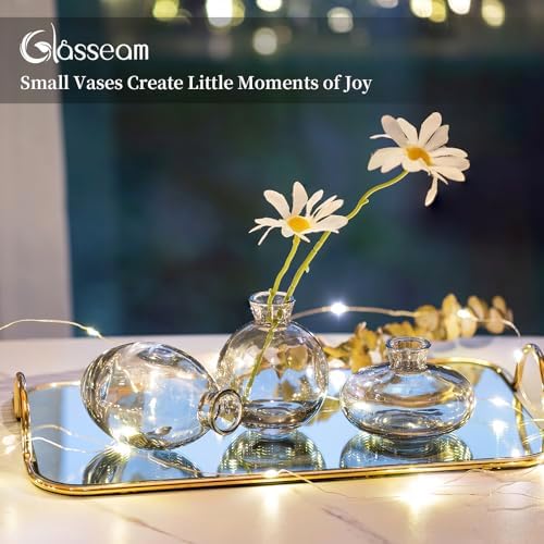 Glasseam Glass Bud Vase for Centerpieces: 12Pcs Gray Mini Small Vases Bulk - Image 5
