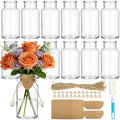 TBWIND Mason Jar Vases for Centerpieces, 12PCS Clear Glass Flower Vase by TBWIND