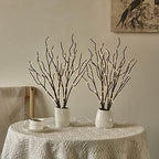 Birchlitland Lighted Brown Branches 18IN 70L Warm White Fairy Lights, LED Willow Branch Lights with Timer Battery Operated for Home Bedroom Living Room Vase Decoration - Image 6