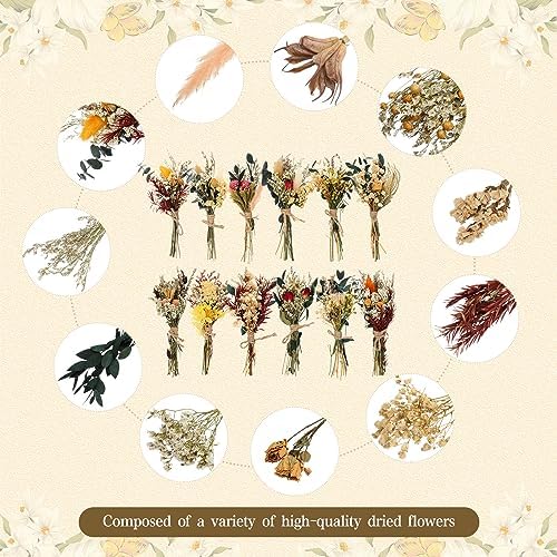 Layhit 12 Pcs Mini Dried Flower Bouquet Boho for Wedding,Bright - Image 5