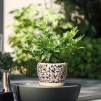 SQOWL Ceramic Flower Pots - 6 Inch Plant Pot Indoor with Drainage Hole and Saucer, Porcelain Ceramic Planter Outdoor, Decorative Round Small Planter, House Decor, Plant Lover Gifts, Blue and Beige - Image 4
