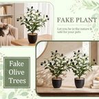 Giegxin 2 Pack 15.8 Inch Small Artificial Olive Tree Indoor 40cm Faux Olive Plant with Black Pot for Home Office Room Table Modern Decor - Image 6