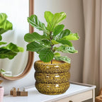 SQOWL Ceramic Planter - 8 Inch Indoor Plant Pot with Drainage Hole, Round Planter for Outdoor Plants, Ceramic Flower Pots, Bubble Planters, Home Room Porch Decor, Plant Lover Gifts, Yellow - Image 6