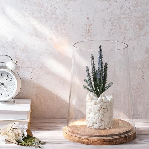 8" Wide Glass Hurricane Candle Holders with Handmade Sturdy Glass Sleeves and Vintage Natural Wood Base for Pillar Candle & Plants, Industrial, Farmhouse, Display Cloche Bell Jars, Table Centerpiece - Image 5