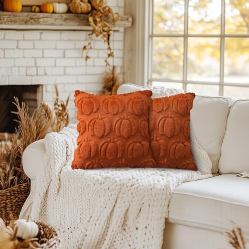 GEEORY Rust Fall Pumpkin Throw Pillow Covers, 26x26 Inch (Set of 2), Soft Faux Fur Wool, Farmhouse Style for Autumn Home Sofa Decor GC019-26 - Image 6