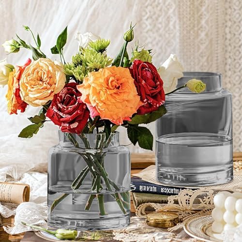 KOIUEYW 9 Inch Tall Vases for Flowers, Large Glass Vase for Centerpieces, Clear Glasses Home Decor Modern Jarrones Decorativos for Wedding Living Room Dining Table (Gray) - Image 4