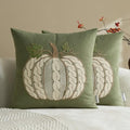 Embroidered Fall Throw Pillow Covers,18x18 Inch Set of 2,Sage Cable by HOME
