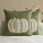 Embroidered Fall Throw Pillow Covers,18x18 Inch Set of 2,Sage Cable by HOME