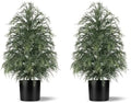 Grooy 2FT Artificial Cedar Topiary Trees, 2 Pack Fake Shrubs with Pot by FEELTHENEWWORLD