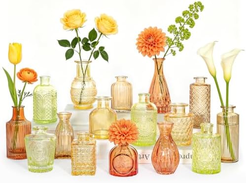 SUPMIND 16 Colored Glass Bud Vases, Small Flower Vase for Table Centerpiece by SUPMIND