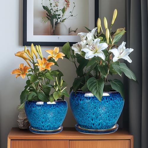 Ceramic Plant Pots Indoor, 10 Inch 8 Inch 6 Inch Round Planters Pots for Indoor Outdoor Plants, Modern Large Flower Pots with Drainage Holes and Saucers, Set of 3, Blue - Image 4