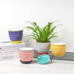 Selamica Ceramic Succulent Pots, 4.6 Inch Small Plant Pots with Drainage Holes & Saucers, Succulent Planters for Indoor Plants Cactus, Home Decor, Set of 6, Assorted Colors - Image 7