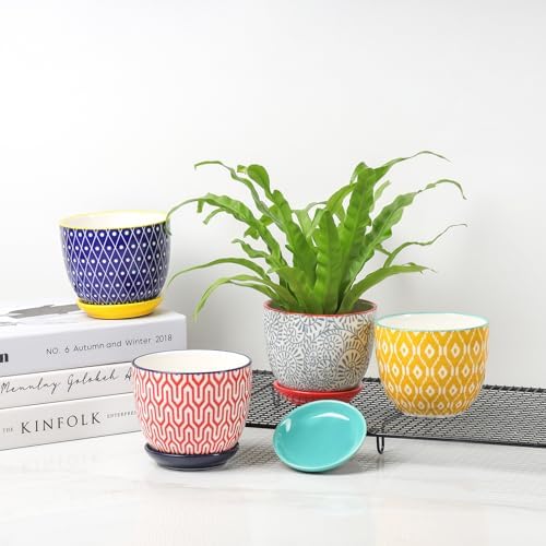 Selamica Ceramic Succulent Pots, 4.6 Inch Small Plant Pots with Drainage Holes & Saucers, Succulent Planters for Indoor Plants Cactus, Home Decor, Set of 6, Assorted Colors - Image 7