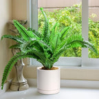 D'vine Dev 8.2 Inch Ceramic Planter Pot, Oatmeal, 94-O-D-8 - Image 5