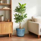 10 Inch Plant Pot, Ceramic Planter for Indoor Plants, Blue - Image 4
