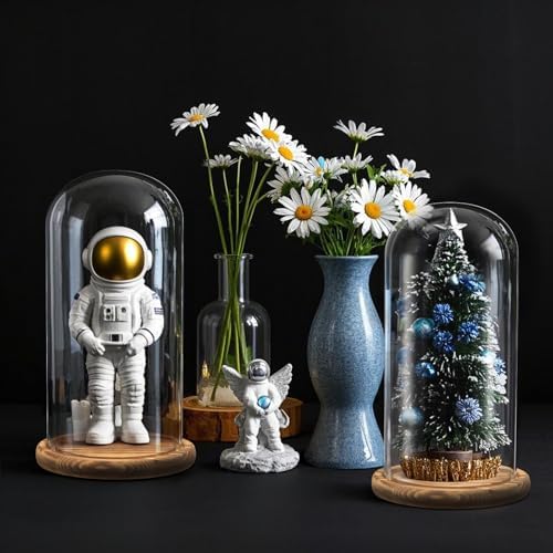 2 Pack Glass Cloche Display Dome, 10 Inch Large Decorative Glass Bell Jar, Clear Dome Showcase with Dark Brown Wooden Base, for Plants, Medals, Photos, Antique Collectibles, Mother's Day - Image 6