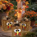 Fall Décor Light Up Boxes Porch, Thanksgiving Lighted Turkey Gift Boxes Decorations Outdoor, Prelit 80 Lights Battery Operated Present Box Havest Thanksgiving Party Table Ornaments 8 Modes & Timer by Unknown