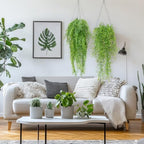 Daifunli 12 Pcs Artificial Hanging Plants Fake Hanging Ferns Plastic Fake Plant for Wall Room Garden Garland Indoor Outdoor Decor No Basket (Mandala, Willows, Fuchsia, String of Pearls) - Image 5