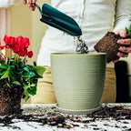Ceramic Planter - 10 Inch Plant Pot for Indoor Outdoor with Drainage Hole and Plant Tray, Modern Round Home Office Patio Room Decor, House Warming Gifts, Green - Image 4