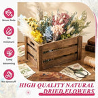 Layhit 4 Pack Large Size Boho Dried Flowers 15-17 Inch, Hydrangea - Image 4