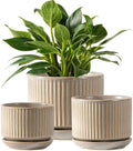 SURE YUESI Ceramic Plant Pots Set of 3, Indoor Outdoor Planters with Drainage Hole and Saucer, Ceramic Flower Pots for Indoor Plants, 4.3+5.5+6.8 Inch, Home, Garden, Patio and Office, Matte Grey by SUREYUESI