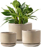 SURE YUESI Ceramic Plant Pots Set of 3, Indoor Outdoor Planters with Drainage Hole and Saucer, Ceramic Flower Pots for Indoor Plants, 4.3+5.5+6.8 Inch, Home, Garden, Patio and Office, Matte Grey by SUREYUESI