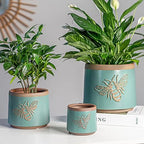Terracotta Pots, 8+6+4 Inch Plant Pots, 3 Pcs with Drainage Holes - Image 6