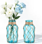 Coastal Glass Vases for Flowers,Boho Rope Mason Jars for Centerpiece,Nautical Beach Decorative Bottles for Home,Bedroom,Bathroom, Beach Wedding Floral Arrangement Decor (2, Aqua Blue) by LEYIQU