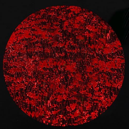 Red Disposable Placemats Set of 100 Red Charger Plates Doilies Metallic Thin Mesh Round 13 Inch Glitter Foil Pressed Dining Table Decoration Centerpieces for Party Wedding Birthday by YLUSUJAKX