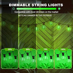 LAMPHOME 4Pack Green St. Patrick's Day LED Outdoor String Lights, 26Ft Patio Lights with 12+1 Edison Shatterproof Bulbs(1 Spare), Irish Theme Connectable Lights for Backyard Porch Party Outside Decor - Image 7