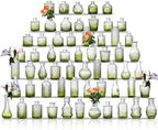 Glass Bud Vase Set of 60 - Small Vases for Flowers in Bulk - Assorted Vintage Crystal Vases for Flowers, Table Centerpieces (Green, 60 Pcs) by Ulodimi