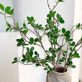 Melorca&Guilla Artificial Plants,6PCS 43.3" Green Faux Branches for Vase,Artificial Plants for Shop Garden Office Home Décor by MelorcaGuilla