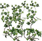 Artificial Rattan Tree Vines with Creeper Leaves Climbing Ivy Branches Grapevines UV Resistant Greenery Garland for Home Garden Landscape wall Hanging Climber Habitat Decor 43” (Green - Pack 4) by kimbovillea