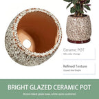 10.3 Inch Ceramic Glaze Plant Pot with Saucer, Flower Pots with Drainage Hole Mesh Net (Spot White) - Image 3