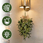 22" Spring Wreaths for Front Door 4 PCS Olive Teardrop Swag Summer Wreathswith Olive Leaf Fruit, Home Decoration for Outdoor Living Room Indoor Wall and Outside Summer All Season Wedding - Image 4