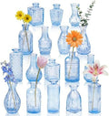 Glass Bud Vases in Bulk Small Mini Blue Vase for Flowers 17pc by PXDSDXJJWEDDING%EF%BC%86HOMEDECOR