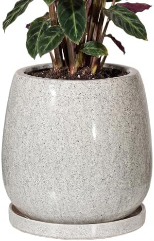10.3 Inch Ceramic Glaze Plant Pot with Saucer, Flower Pots with Drainage Hole Mesh Net(Gray-Blue Dot) by Unknown