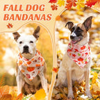 Abbylike 50 Pcs Fall Dog Bandanas Bulk, Autumn Thanksgiving Pumpkin - Image 4