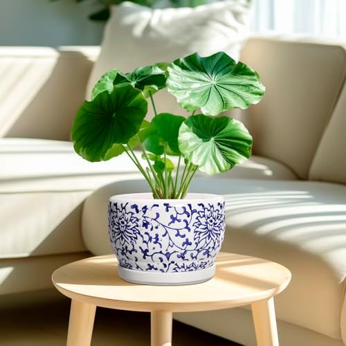 SQOWL Ceramic Pots for Plants - 8 inch Ceramic Planter with Drainage Hole and Saucer, Round Flower Pots for Indoor Plants, Porcelain Planter Outdoor, Porch Decor, Gifts for Women Men, Blue and White - Image 2