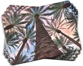 Pimpernel Palms Placemats, Set of 4 (15.7" x 11.7") – Cork-Backed Rectangles Featuring Botanical Artwork, Heat & Stain Resistant Lacquered Surface, Dining Mats & Decorative Protectors for Kitchen by Pimpernel