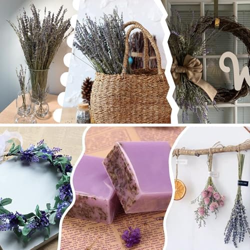 TOMOON 6 Packs Natural Dried Lavender Flowers Bouquet with Stems - Image 6