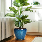 10 Inch Ceramic Planter Pot Round Plant Pot for Indoor Plants Outdoor Large Flower Pot with Drainage Hole and Saucer Blue - Image 2