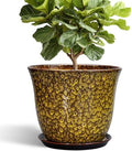 12 Inch Plant Pot - Ceramic Pots for Plants with Drainage Hole and Saucer, Round Planter for Indoor Outdoor, Large Flower Pots, Modern Planter, Patio House Decor, Plant Lovers Gifts, Yellow by SUNPOTFOR