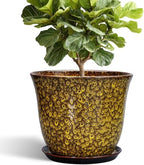 12 Inch Plant Pot - Ceramic Pots for Plants with Drainage Hole and Saucer, Round Planter for Indoor Outdoor, Large Flower Pots, Modern Planter, Patio House Decor, Plant Lovers Gifts, Yellow by SUNPOTFOR